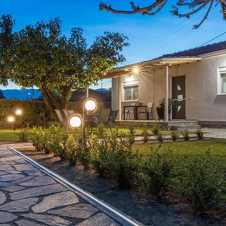 Вилла Castellano Vasiliki Vasiliki  Экстерьер фото